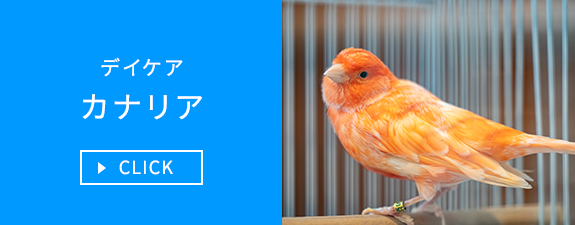 デイケア　カナリア